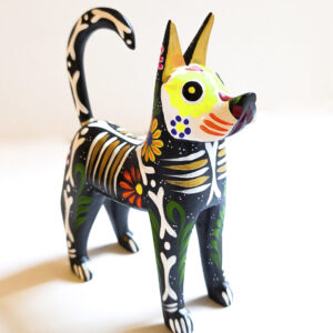Xoloitzcuintle jaune